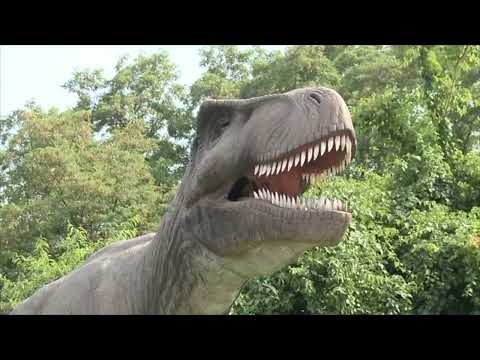 Field Station Dinosaur