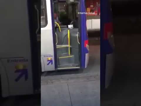 perro callejero  esperaque el conductor del autobús le entregue su galleta.