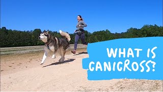 An Introduction to Canicross