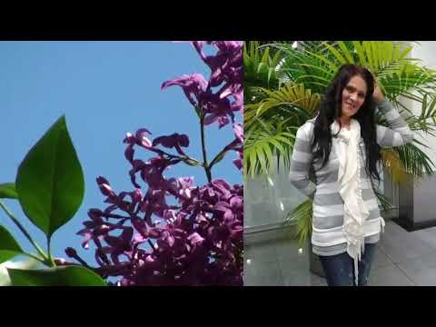 Uživo - Branko Olar - Daparće mndro djeparće