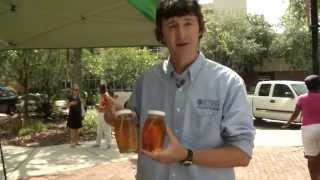 Where Does Honey Come From?