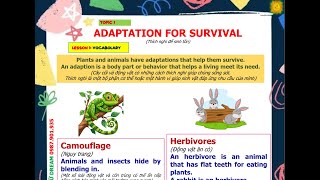 Topic 1 - Adaption For Survival - Phonics 3A