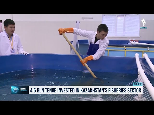 Kazakistan’da Balikçiliğin Geliştirilmesi Için 4,6 Milyar Tenge Yatirim Yapildi