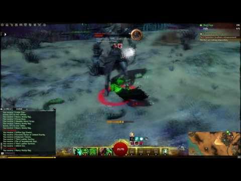 Guild Wars 2   Necro DPS Build In Action 18sec Kill