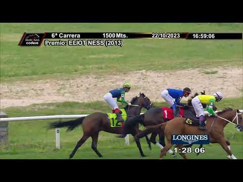 231022 c06 WILD THING (BRZ)