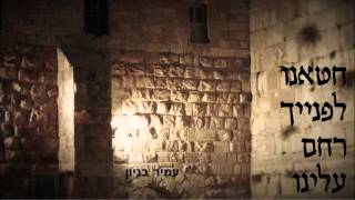 עמיר בניון