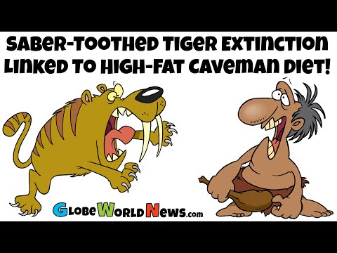 Saber-Toothed Tiger Extinction Linked to High-Fat Caveman Diet!