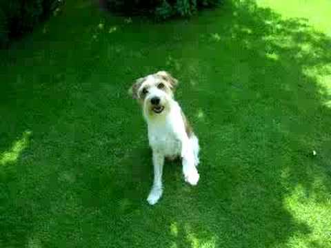download lagu mp3 mp4 Manege Frei Fr Felix, download mp3 Manege Frei Fr Felix free download, download mp3 Manege Frei Fr Felix