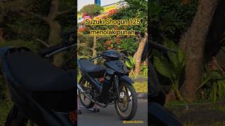 Download lagu Suzuki Shogun 125 Road Race, Jammy Racing Team, Bondowoso, Jawa Timur 🔥🔥🔥🔥 mp3 Download lagu Suzuki Shogun 125 Road Race, Jammy Racing Team, Bondowoso, Jawa Timur 🔥🔥🔥🔥 mp3
