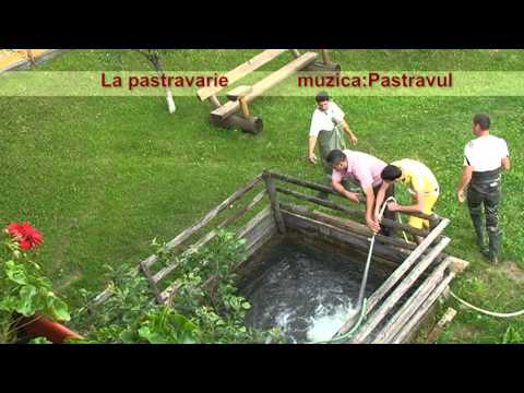 Pensiunea POIANA Negri - iunie 2012 3/4