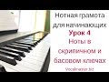 Нотная грамота для начинающих Урок 4 