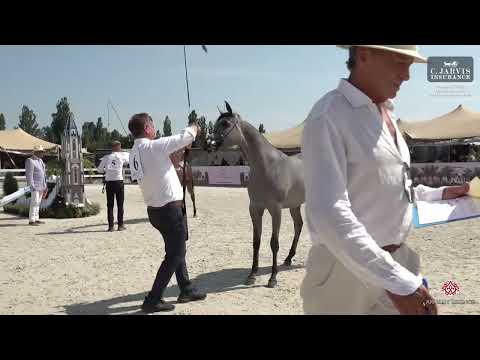 Prague  2023 Intercup   Class YFC