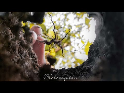 Nature love ©photosapien