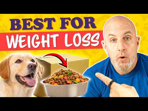 Best Dog Food For Weight Loss | Why I Switched To Mills Daily Packs