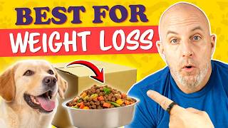 Best Dog Food For Weight Loss | Why I Switched To Mills Daily Packs