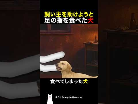 飼い主を助けようと足の指を食べた犬