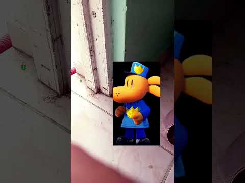 Dog man falls over on The Chief