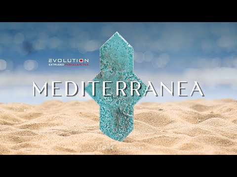 Imagen representativa video