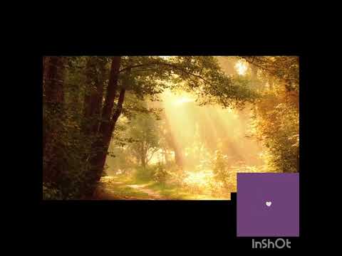 MORNING AFFIRMATIONS