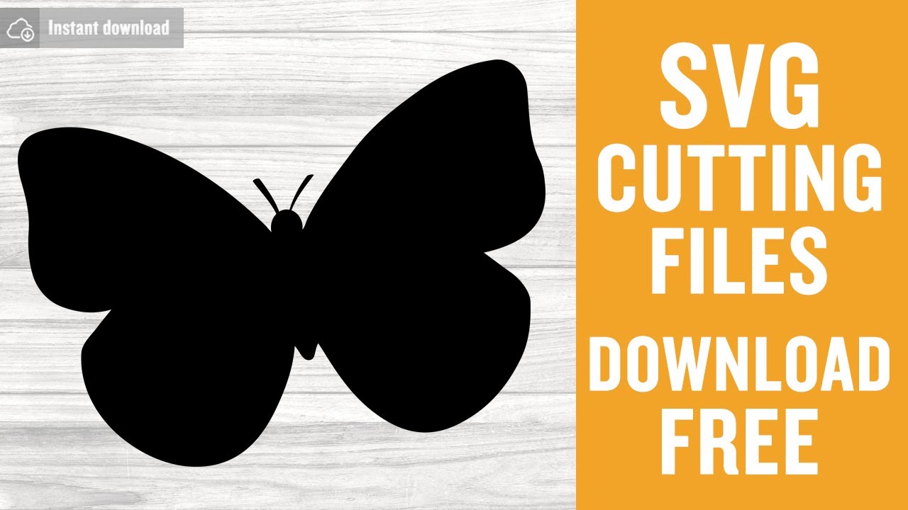 Butterfly Svg Free Cut File for Cricut