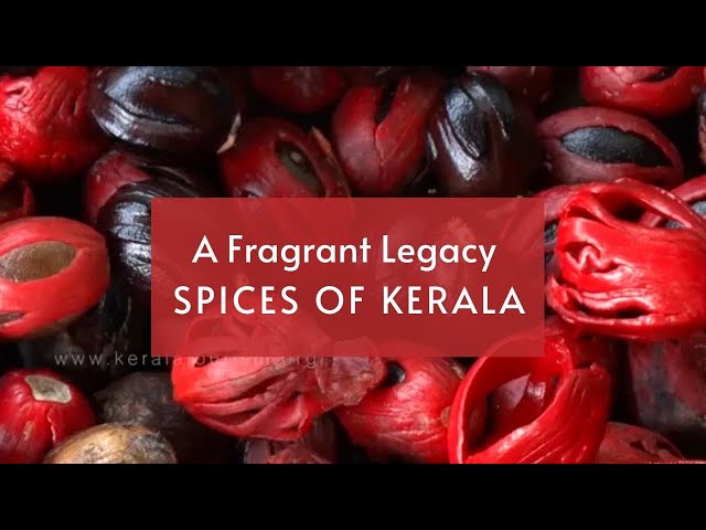 The Spice Farms