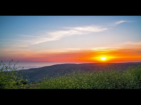 Cinetics Lynx Slider Motor Video #1