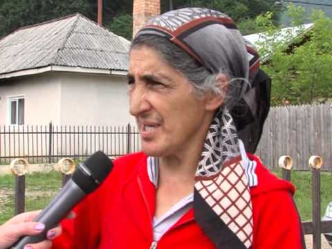 VACARITA ADUSA LA VOT  DE PRIMAR PIATRA SOIMULUI