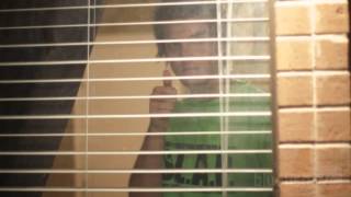 S.L.A.P from the "Doug Down Deep" youth bible study series featuring Joshua Harris - Bluefish TV