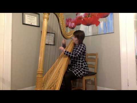 Emily Levin performing Bach's Sarabande from his 5th French Suite.