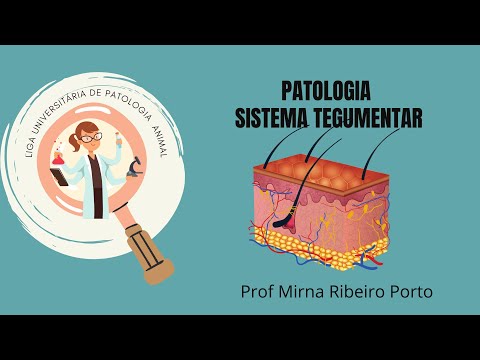 , title : 'Patologia Sistema Tegumentar'