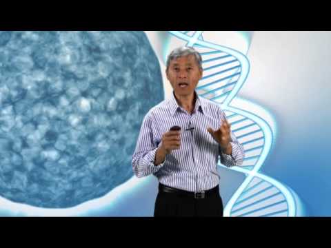 01 - Por Que Adoecemos?