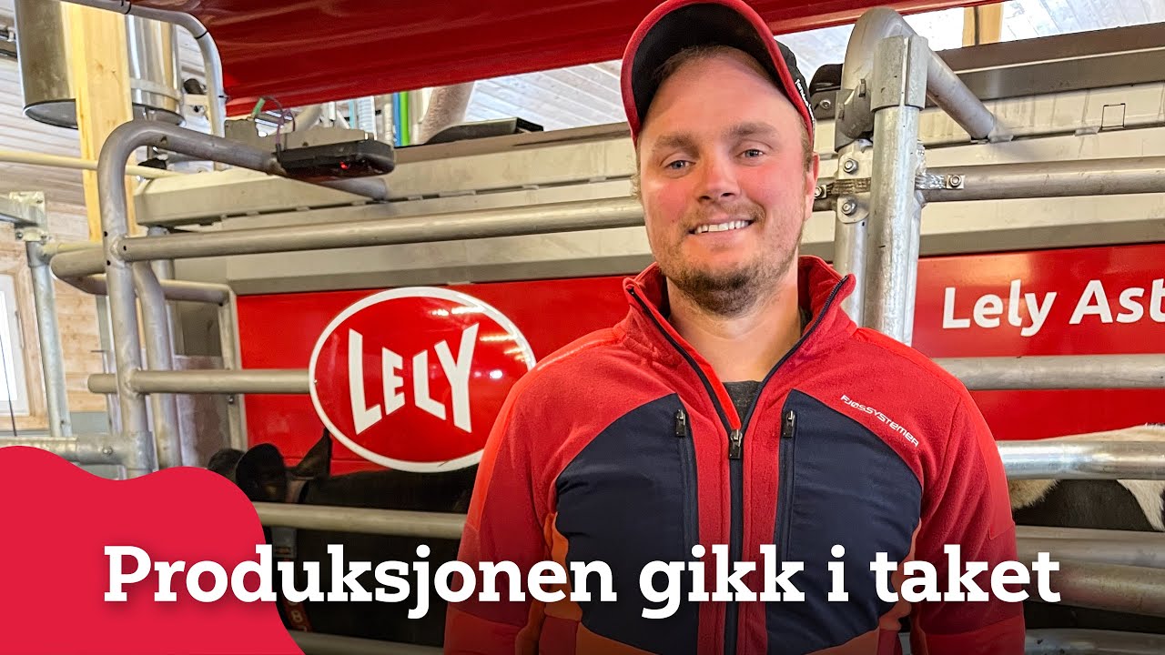 Økt produksjon med Lely melkerobot