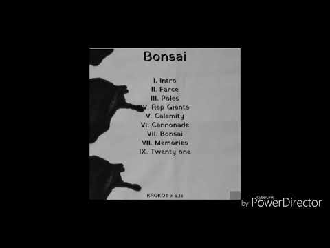 KROKOT x a.Ja - Poles [Премьера альбома "Bonsai"]