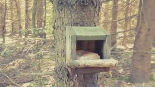 Closing my eyes_Fleetwood Mac