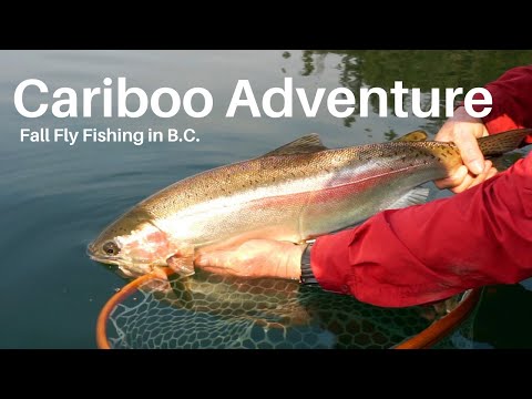 Fall Stillwater Fly Fishing in B.C.'s Cariboo Region | Phil Rowley Fly Fishing