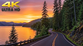 Golden Hour Scenic Drive in Olympic National Park Hwy 101 4K
