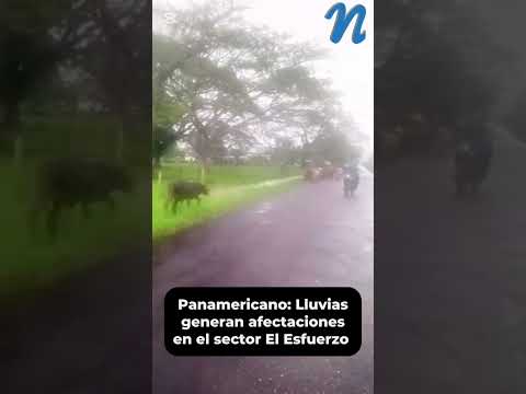 Panamericano: Lluvias generan afectaciones en el sector El Esfuerzo | #tachira #reporte