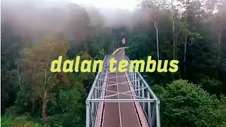 Download lagu WA story dalan tembus SARANGAN TAWANGMANGU mp3