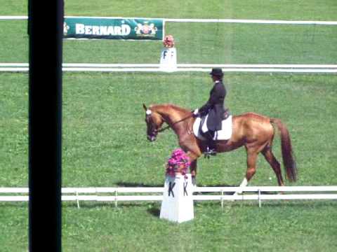 Humpolec 11.-13.7.2008