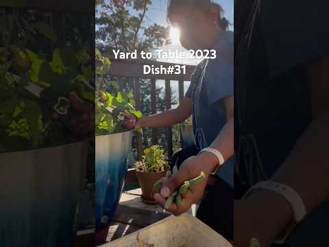 Yard to Table 2023-Dish#32-Beans fry #viral #recipe #ytshorts #cooking #myyard #backyardgardening