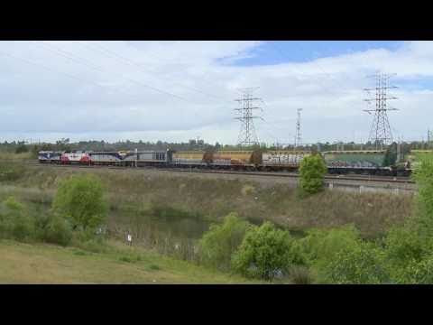 Australian Grain Train - El Zorro in NSW - Australian Railways
