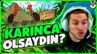 What If You Were Born As An Ant? REACTION! (@JudezDonca) | RRaenee