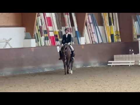 Katinka Januar 2021, 4. Platz