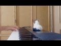 Дзідзьо (DZIDZIO) - Каділак (piano) 