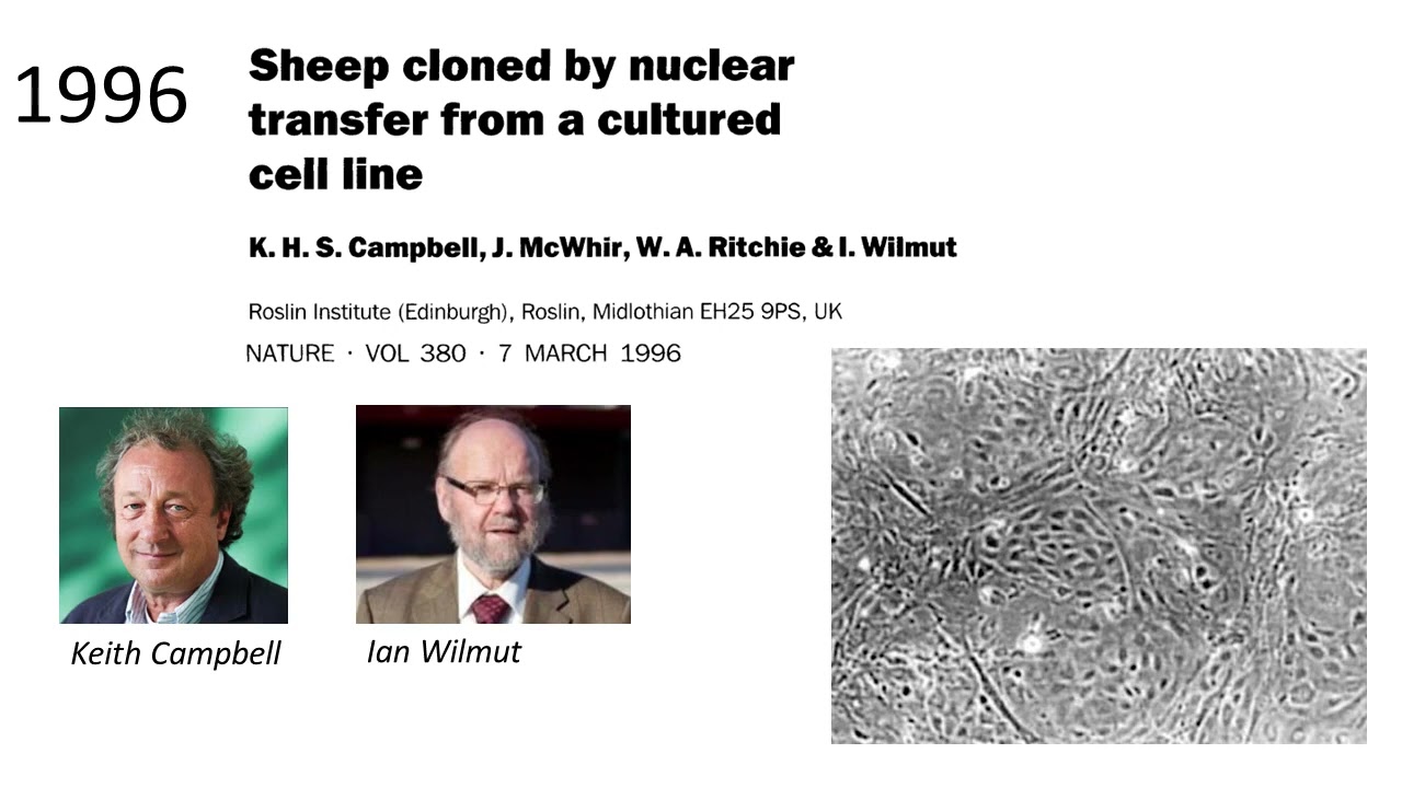 Somatic Cell Nuclear Transfer State of the Art and Applications   Keynote Lecture