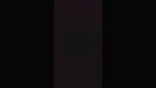 Roselia     Rフル