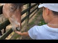 FAMILY TRIP TO CHESTATEE WILD LIFE ZOO!!! @ DAHLONEGA GA ANIMALS SHORT FILM VLOG WILLIAMS