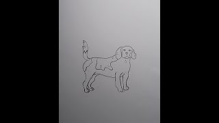 Drawing a Dog Step by step Tutorial for Beginners