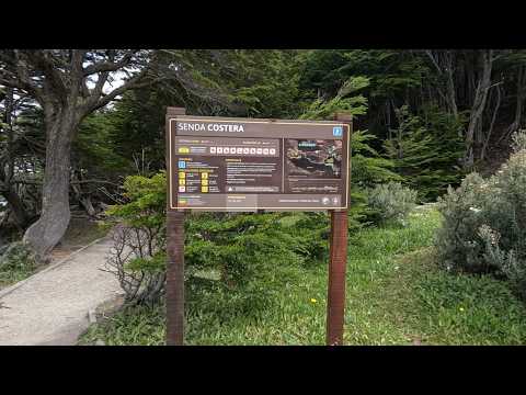 🌎 Terra del Fuoco: camminando alla fine del mondo | Ushuaia e Senda Costera