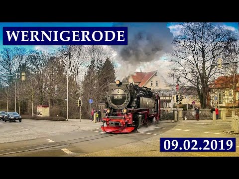 Dampf Diesel und frische Luft in Wernigerode 9 Feb 2019